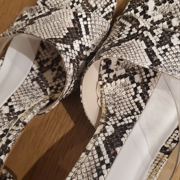 Snake print slide - Picture 5 of 5